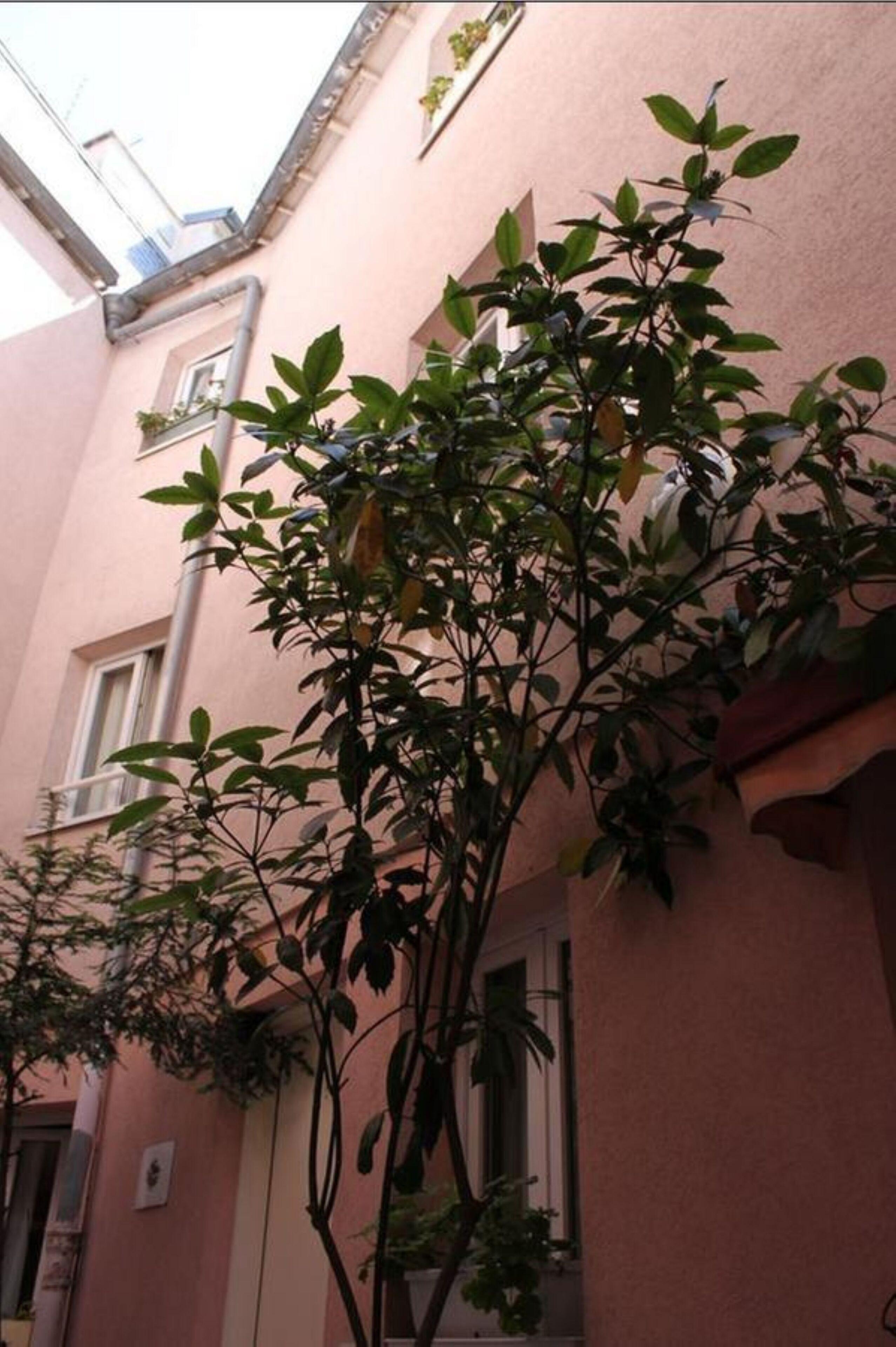Hotel Aladin 2*